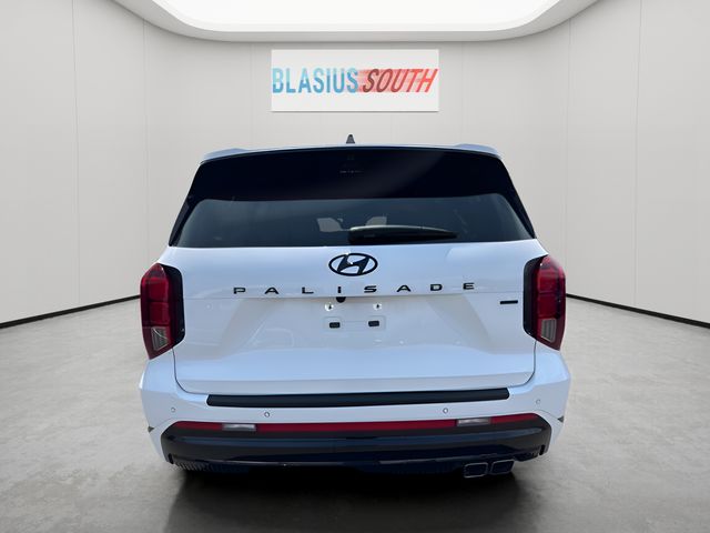 2025 Hyundai Palisade view 4