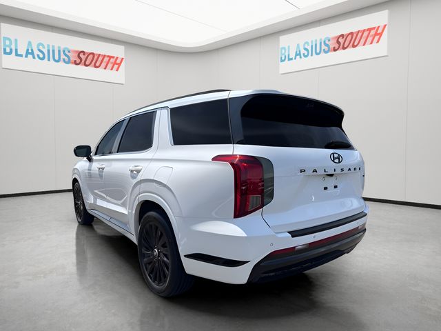 2025 Hyundai Palisade view 5