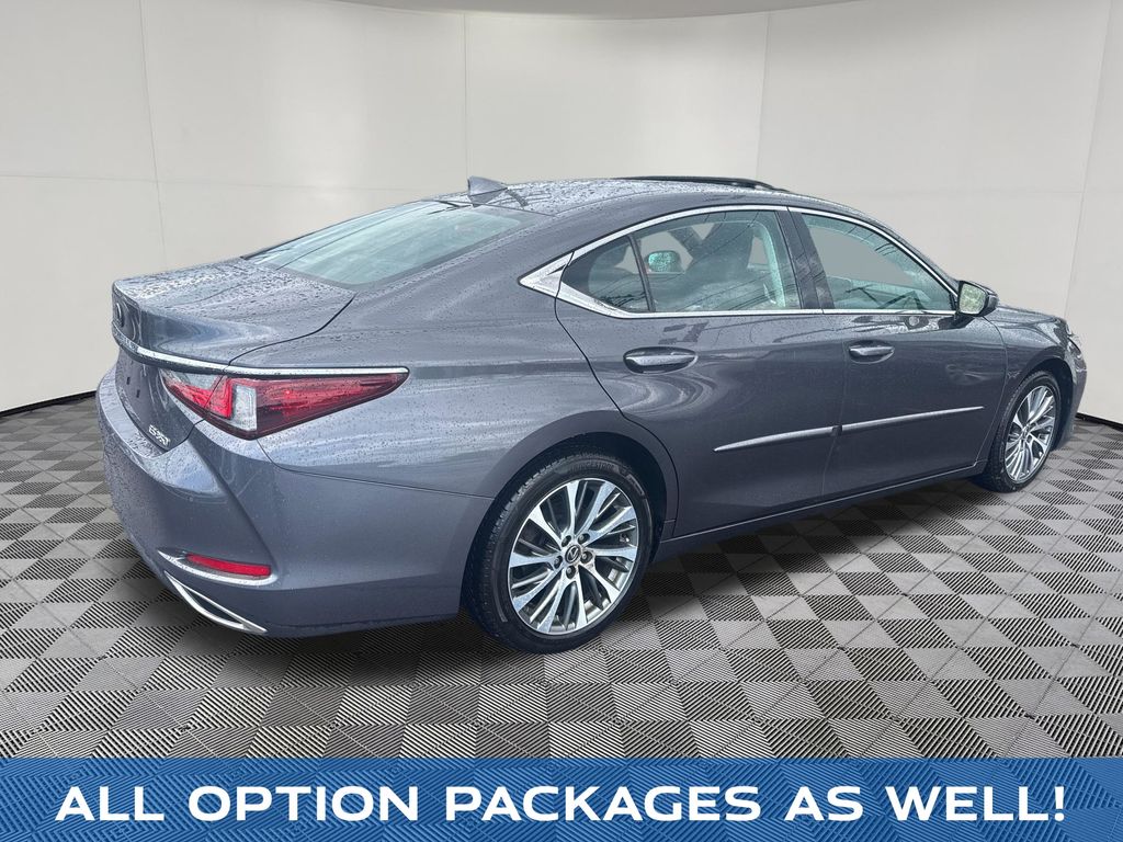 2020 Lexus ES view 5