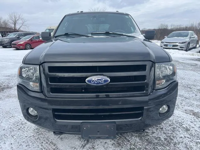 2010 Ford Expedition view 2